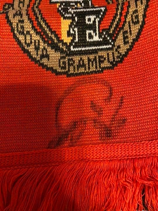 名古屋グランパス NGE マフラー 2019名古屋グランパスマフラーNo.1